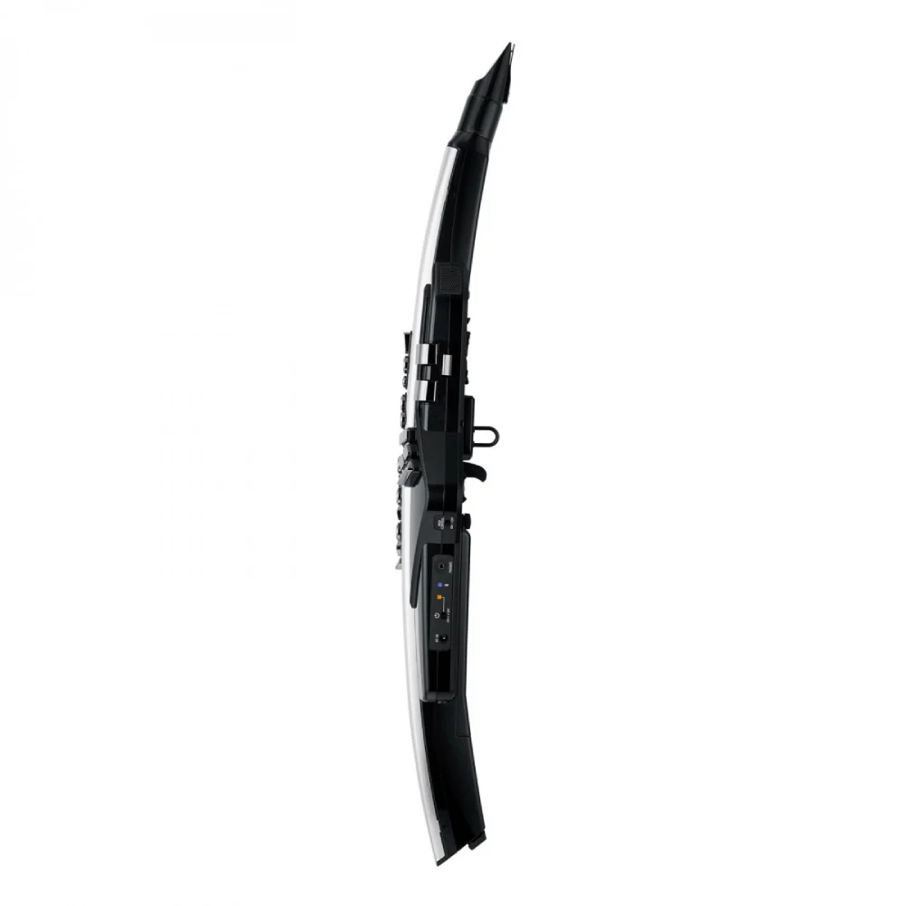 Roland AE-30 Aerophone Pro Dijital Nefesli Enstrüman