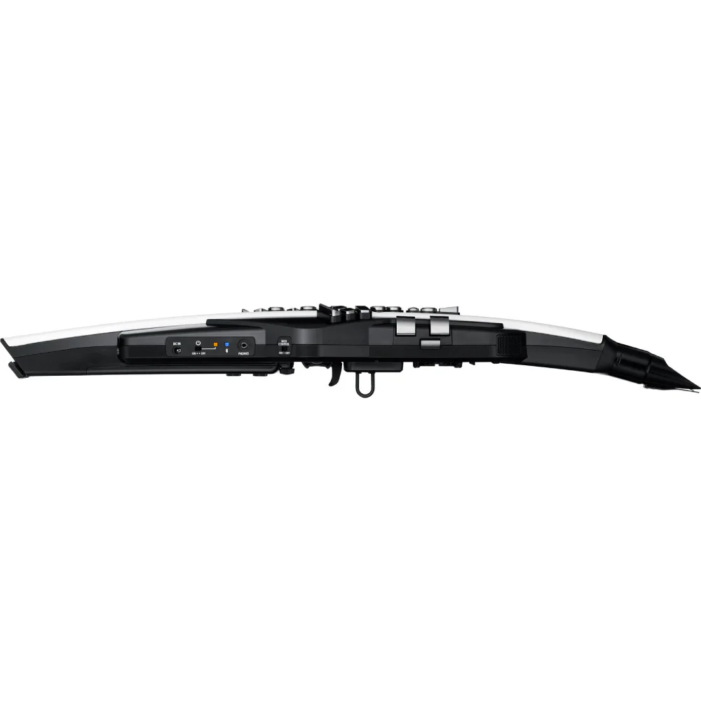ROLAND AE-20 Aerophone Dijital Nefesli Enstrüman