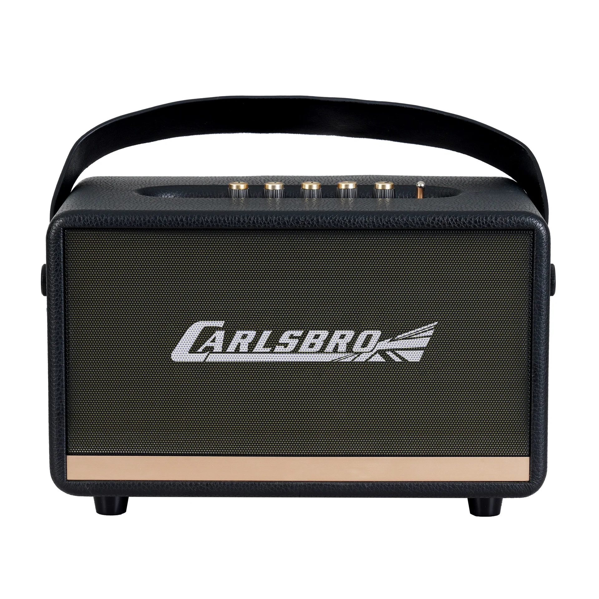 Carlsbro EW CK30-DM Bluetooth Hoparlör (Siyah - 2 Kablosuz Mikrofonlu)