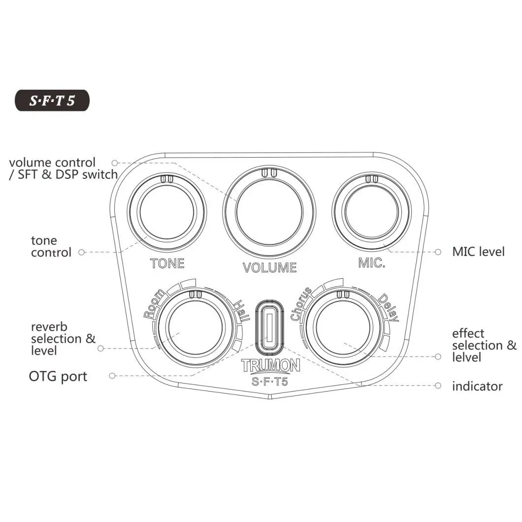 Trumon Wing 950TF-S5 Elektro Akustik Gitar
