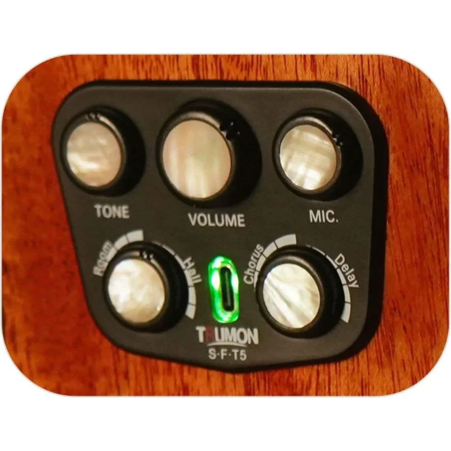 Trumon Wing 980TF-S5 Elektro Akustik Gitar